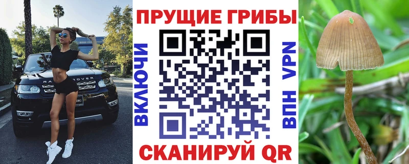 Галлюциногенные грибы мухоморы что такое Каменск-Уральский